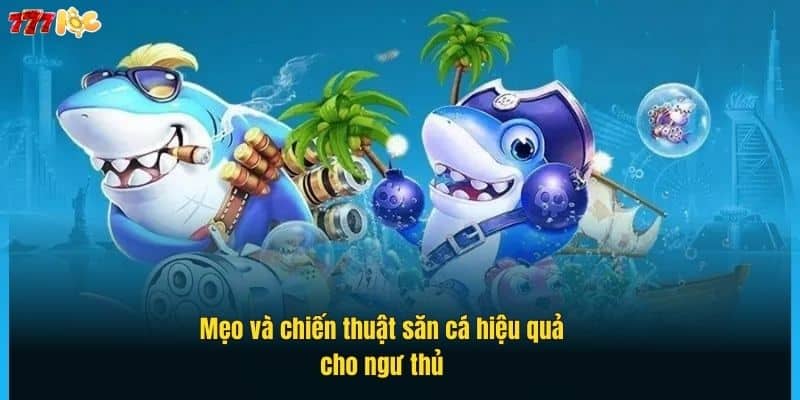 bach-phat-bach-trung-rinh-qua-cuc-khung